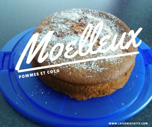 recette moelleux pommes coco