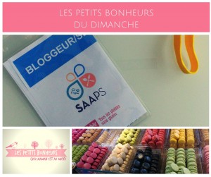 la fée biscotte