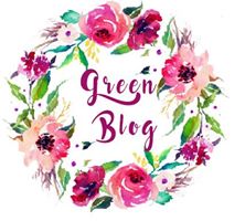 défi green blog