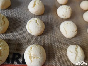 recette de biscuit boule de coco