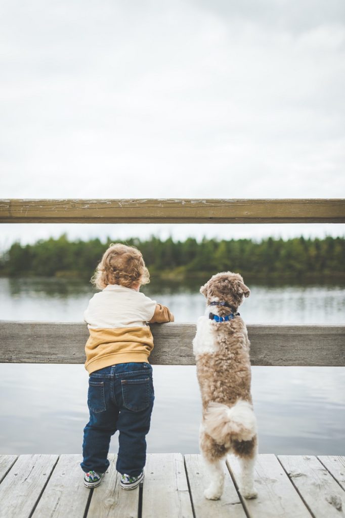 bébé chiot